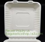 Tableware Bagasse Plate Bagasse Containers Bagasse Clamshell Bagasse Tray