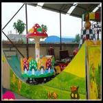amusement park double wave rides newest for sale