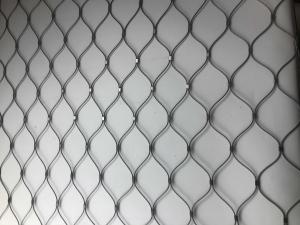 Wholesale Aviary 7x7 Stainless Steel Bird Mesh 2mm 2.5mm 3mm Thickness from china suppliers