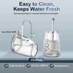 Mouth Jet Teeth Cleaning Professional Portable 400mL Pik Dental Irrigator Oral