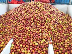 Wholesale Fruit Juice / Apple Juice Processing Line 100 - 10000L/H Capacity from china suppliers