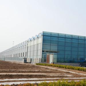 Wholesale 10x10 10x12 10x6 Aluminum Venlo Glass Greenhouse Grow Rose With Cooling System Ventilation System from china suppliers