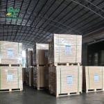 60G 70G 80G 90G Uncoated Plain White Woodfree Offset Printing Paper Sheets 24 *