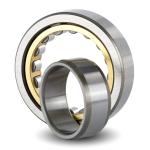 NJ 1038 ML;NU 1038 ML Cylindrical Roller Bearings Use For Truck Mounted Mini