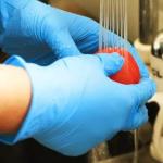 Disposable 3.5mg Nitrile And Latex Gloves For Medical Examination