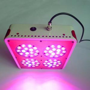 Wholesale Discount newly design 180w apollo 4 led grow light from china suppliers