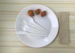 Disposable CPLA Compostable Tableware Length 171mm