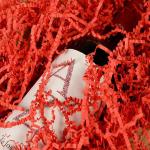 20g Color Shredded Paper
