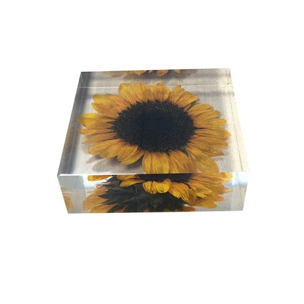 Cubic acrylic resin paper weight with insect and flowers inside acrylic