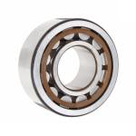 NJ 244 ECML;NU 244 ECML;NUP 244 ECML Cylindrical Roller Bearings Used For Wire
