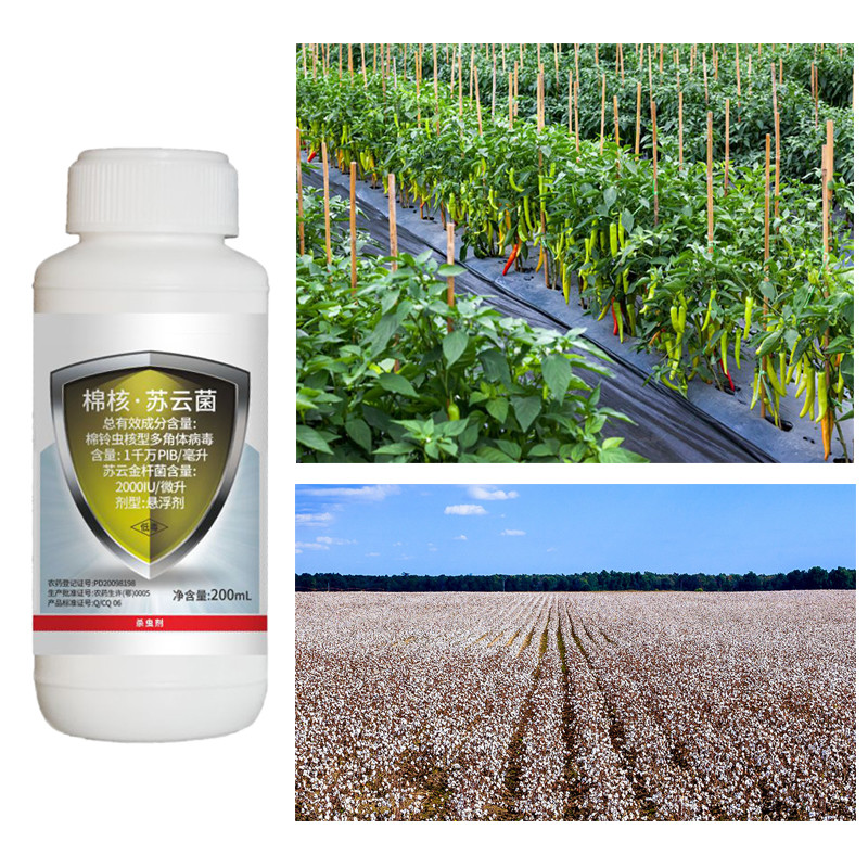 ECO Friendly Natural Organic Cotton Pesticide SC Biological Cotton Pesticide