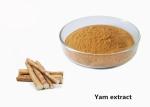 Anti Fatigue 1kg Natural Wild Yam Plant Extract Powder