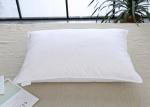 50x70cm 800gms Feather Throw Pillows Cotton Home Textiles