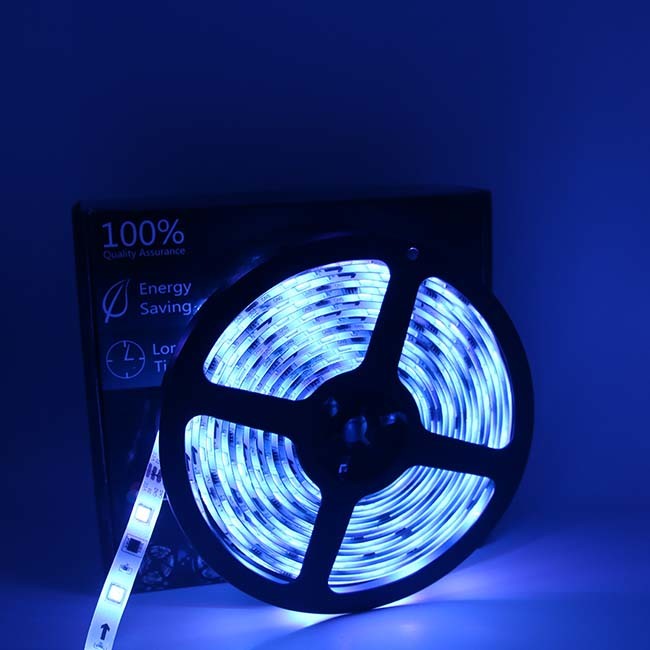 DC12V 36W 5M Dreamcolor LED Strip Lights