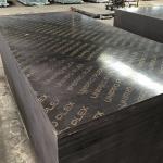 18mm 20mm Phenolic Poplar Core Brown Film Faced Plywood