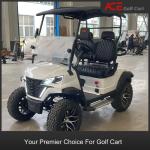 Carbon Steel Frame Electric Off Road Golf Cart 2 Seater Capacity Strength