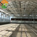 Multi-Span Large Agricultural Greenhouses with Hidroponic System