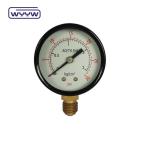 Black Steel Economy Pressure Gauge Dural Scale 50mm Air Pressure Gauge Meter