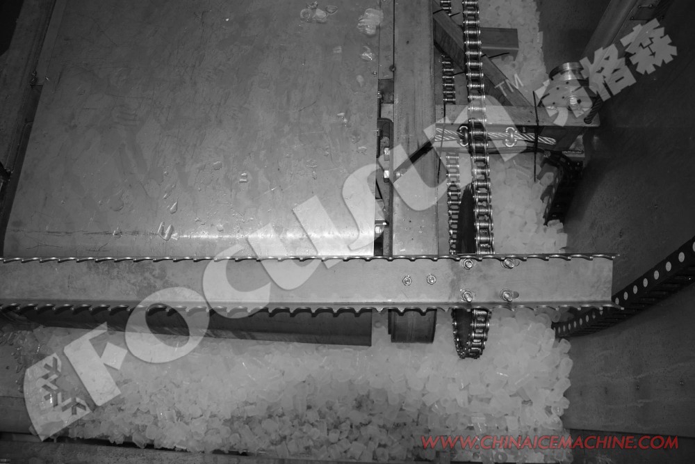 20ft Containerized Automatic Rake Ice Storage for Tube Ice Versatile and Customizable