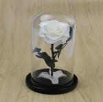 Wholesale New Design Preserved flower Eternal Rose in Glass Home Decoration