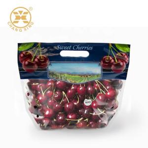 China 100g 500g Dry Fruit Packaging Bags With Hole Fresh Cherry Stand Up Pouches Eco Friendly on sale