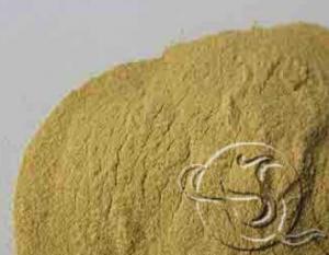 Wholesale Bee Pollen Extract (5:1) from china suppliers
