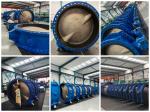 Cast Ductile Iron BS en593 ANSI DIN JIS double flanged centerline Huge Big Size