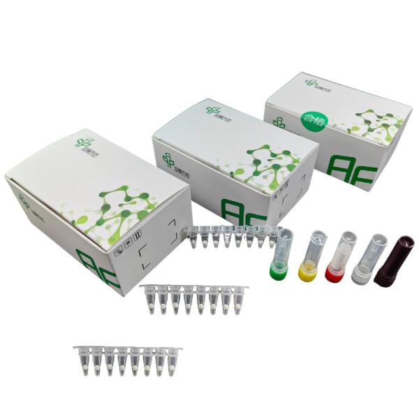 5-20 Minutes Livestock Disease Kit With African Swine Fever Virus Test Kit For