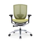 Ergonomic Green PU Lifting Arms High Back Mesh Computer Office Chair