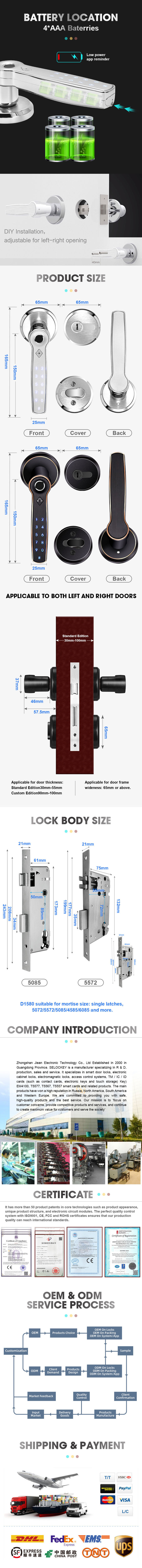 Electric Bluetooth Wifi Semiconductor Handle Door Lock For Bedroom