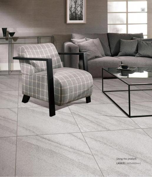 Antibacterial 600x600mm Full Body Porcelain Tiles And Gray Outdoor Wall Tile For