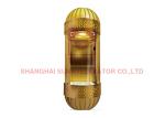 PVC Floor Semicircle 1000kg VVVF Panoramic Glass Lifts With Center Opening Door
