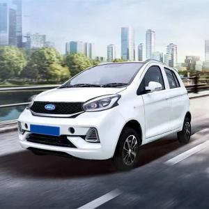 Wholesale Raysince New model electric vehicle 4 Seats 5 door China high speed electric car from china suppliers