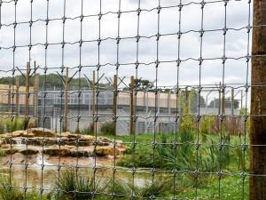 Wholesale Hot Dip Galvanised Wire Field Fence Height 2m High Strength Woven from china suppliers