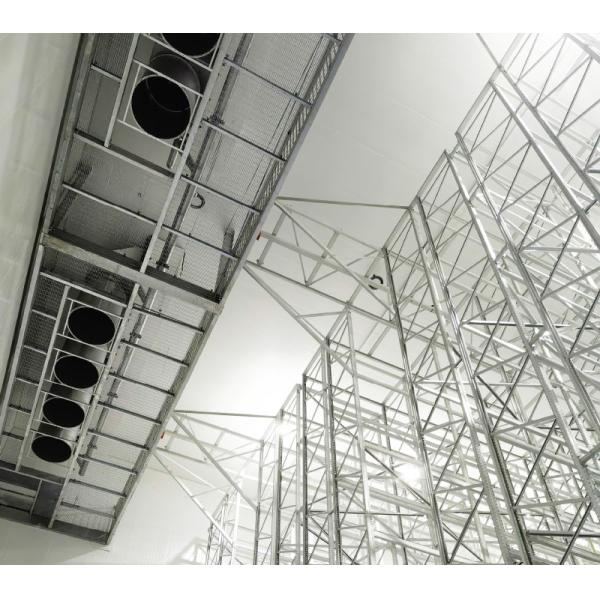 Cold Storage Warehouse ASRS