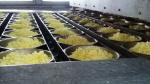 Automatic Snack Fried Instant Making Maker Production Line Machinery