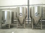 Large Capacity Beer Distillery Equipment 3 Vessel 2500L SS / Red Copper Material