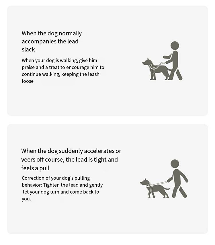 Pet Polyester Leash Breathable Mesh Harness For Dog Walking Small Dogs And Cats