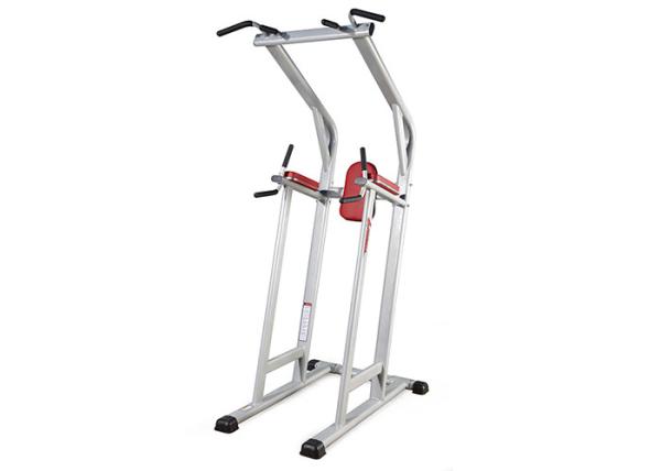 Life Fitness Commercial Gym Equipment Strength Assisted Chin Dip Leg Raise