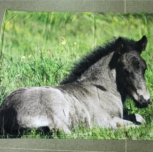 Thick Soft Flannel Blankets Travel Blankets For Airplanes Customized Size /