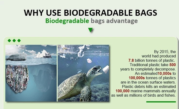 Promotional White EN13432 Certified Compostable shopping bag for supermarket, 100% compostable plastic t-shirt shopping