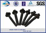 ZhongYue Railway Fasteners Rail Screw Spike Screws 8.8 Grade