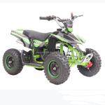 2WD Mini Electric ATV with 36V Direct Power Supply and 100-150mm Minimum Grand