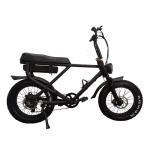 Power Supply Lithium Battery Electric Bike for Adult Top Selling Retro Fat Tire