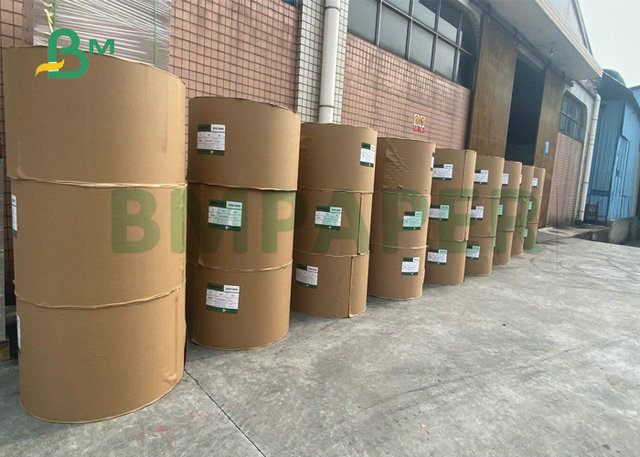240Gsm 260Gsm Food Grade Natural Color Cup Paper Material for Making Coffee Cups