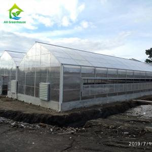 Buy cheap 1.2g/Cm2 Anti Snow Greenhouse Polycarbonate Sheets 6mm Twin Wall Polycarbonate Panels from wholesalers