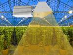 Double Ended Indoor Grow Lights , Aluminum Body Energy Saving HPS Grow Lights