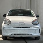 Two Seaters Mini Cars Roewe CLEVER MINI Electric Cars Adults with 311km Long
