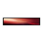 High Resolution 21 Inch TFT Stretched LCD Screen