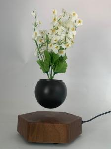 China 360 rotating magnetic levitation floating bottom air bonsai plant tree plant vase on sale
